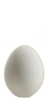 one_egg